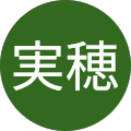 松井実穂 松井実穂