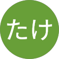 のこたけ