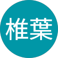 椎葉誠一郎 椎葉誠一郎