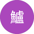 鈴木鱸 鈴木鱸