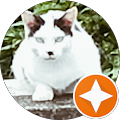 ねこじる(ねこじる) ねこじる(ねこじる)