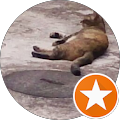 カワグチコウジ