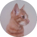 Julchen catlove Julchen catlove