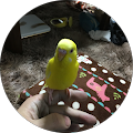 izumi