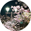 NAO