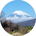 もちもち もちもち