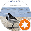バードバード