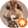 Squirrel Ezo Squirrel Ezo