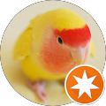 ちんのり ちんのり