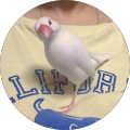 いつこんけん いつこんけん