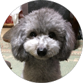 ふっくん ふっくん