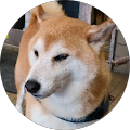 セラ セラ