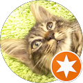 Club Cat’sネコチャンネル Club Cat’sネコチャンネル