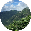 小林利夫 小林利夫