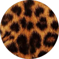 M F M F
