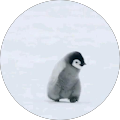 まんだら まんだら
