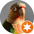 ウロコインコ福子 ウロコインコ福子
