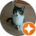 りょう.よ りょう.よ