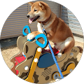 R伊藤