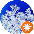 Snow Star
